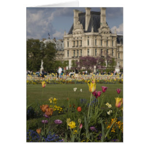 Tuileries trädgård, Louvre, Paris, Frankrike Hälsningskort