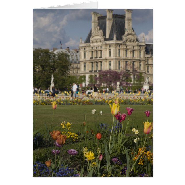 Tuileries trädgård, Louvre, Paris, Frankrike Hälsningskort (Framsidan)