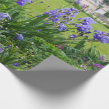 Tuilleries Park Paris Frankrike Wrapping Papper