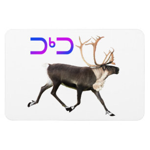 Tuktu - Västindiou Magnet