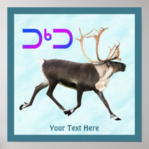 Tuktu - Västindiou Snö Poster