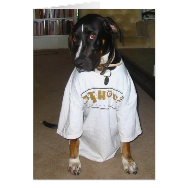 Tula Hälsningskort (Framsidan)