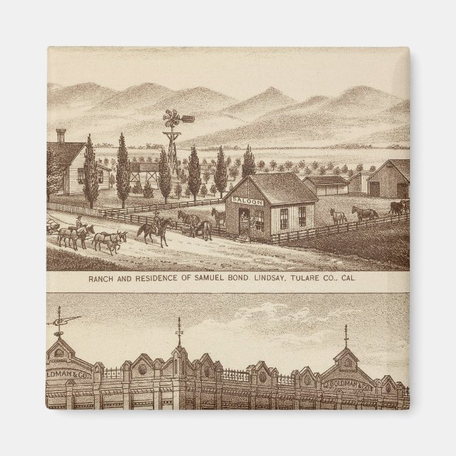 Tulare Co Bank Magnet (Framsidan)