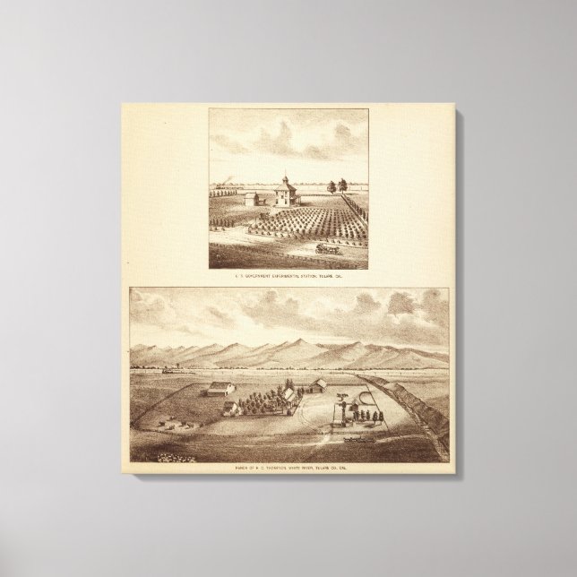 Tulare Co ranch, station Canvastryck (Framsida)