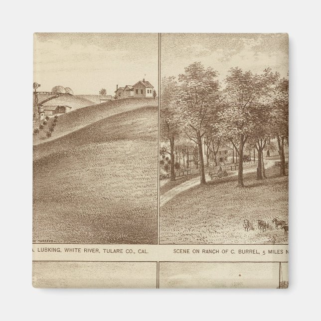 Tulare Co-rancher, kontor Magnet (Framsidan)