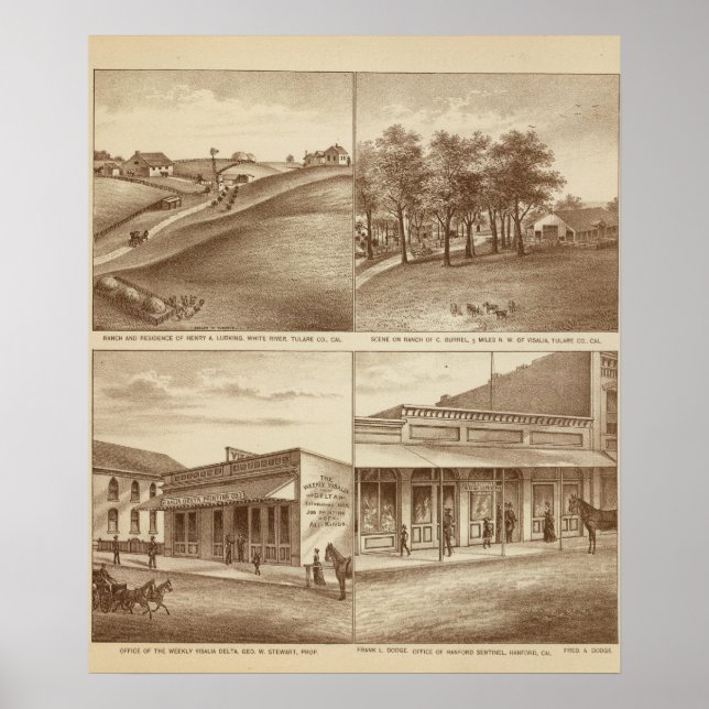 Tulare Co-rancher, kontor Poster (Framsidan)