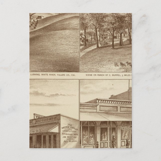 Tulare Co rancher, kontor Vykort (Framsida)