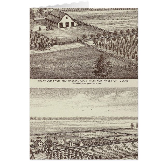 Tulare Hälsningskort (Framsidan)