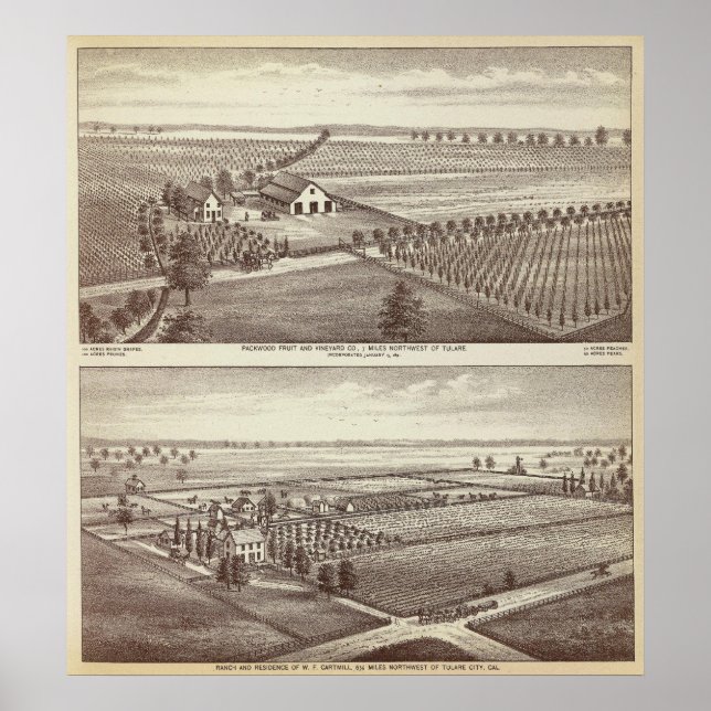 Tulare Poster (Framsidan)