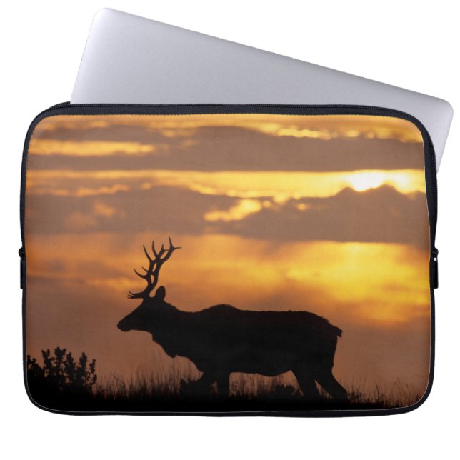 Tule Elk | Point Reyes National Seashore Laptop Fodral (Framsidan)