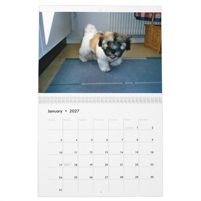 tulear kalender för bomullsde (Jan 2027)