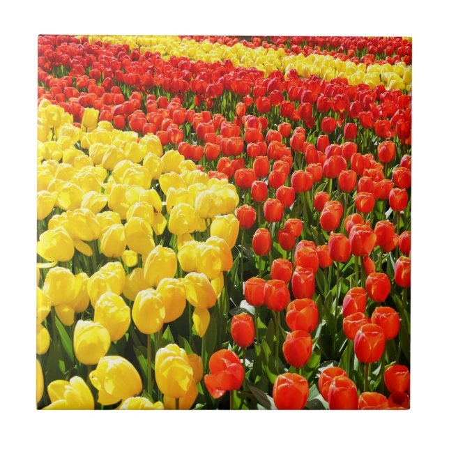 Tuliffträdgård Kakelplatta (Framsidan)