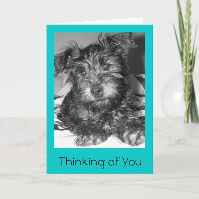 Tulio Kort (Framsida)