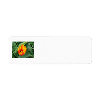 Tulip-adressetikett Returadress Etikett