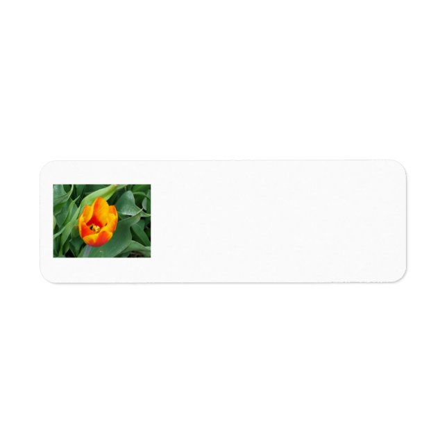 Tulip-adressetikett Returadress Etikett (Framsidan)