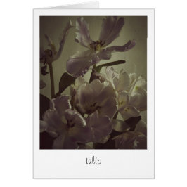 "tulip" av Heidi Rondak Photography Hälsningskort