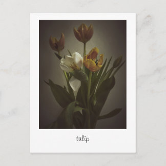 "tulip" av Heidi Rondak Photography Vykort