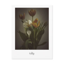 "tulip" av Heidi Rondak Photography