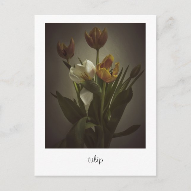"tulip" av Heidi Rondak Photography Vykort (Framsida)