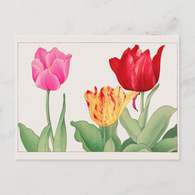 Tulip av Tanigami Konan Vykort (Framsida)