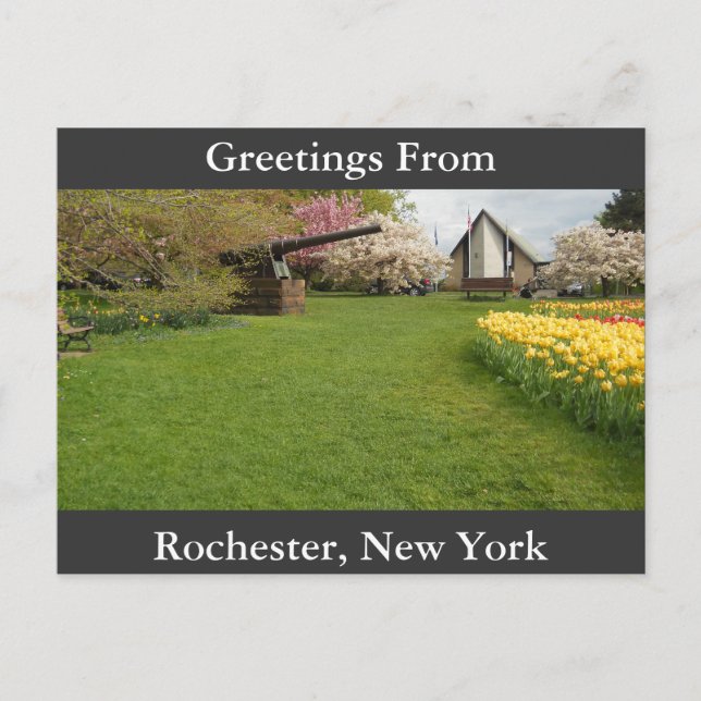 Tulip Beds & Cannon Vykort (Framsida)