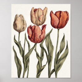 Tulip-blomma Poster