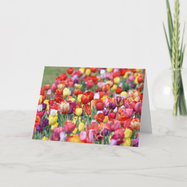 Tulip Blommor-hälsningskort Kort (Framsida)