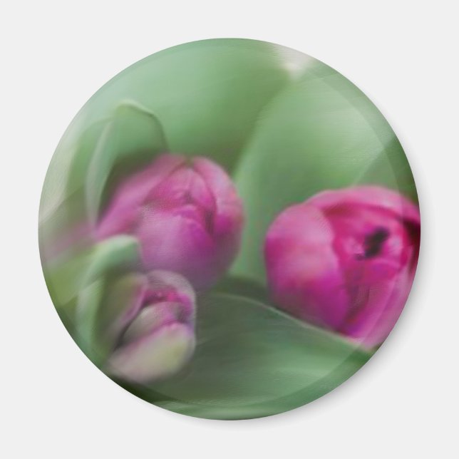 Tulip Bouquet Magnet (Framsidan)