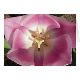 Tulip Burst~Tack! hälsningskort