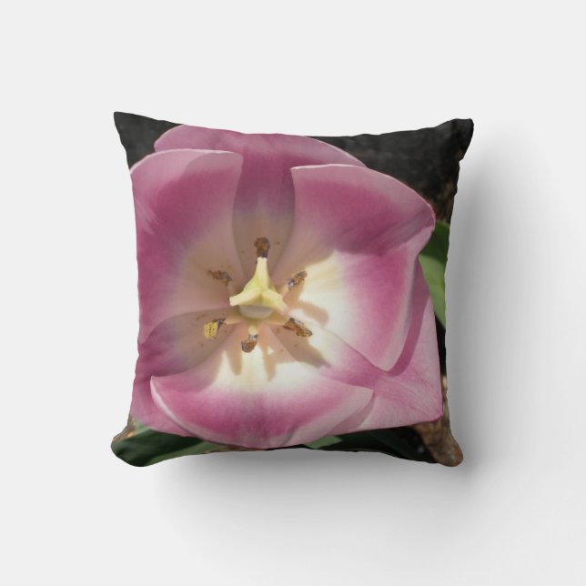 Tulip Burst ~vid kudde (Framsida)