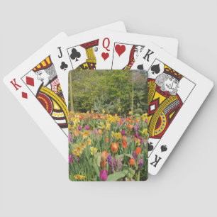 Tulip Casinokort