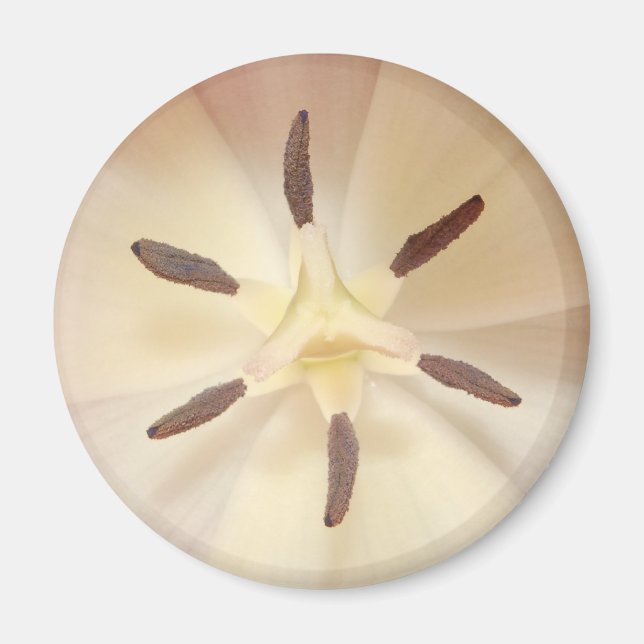 Tulip Center Magnet (Framsidan)