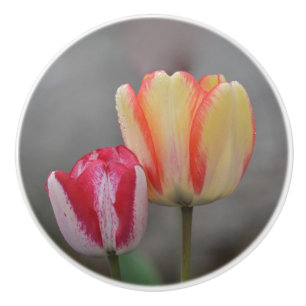 Tulip Ceramic Knob Knopp