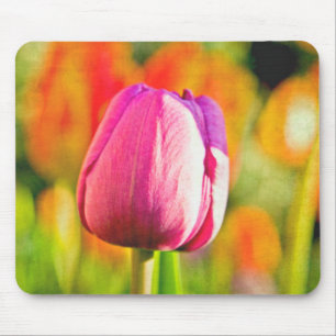Tulip Collage Musmatta