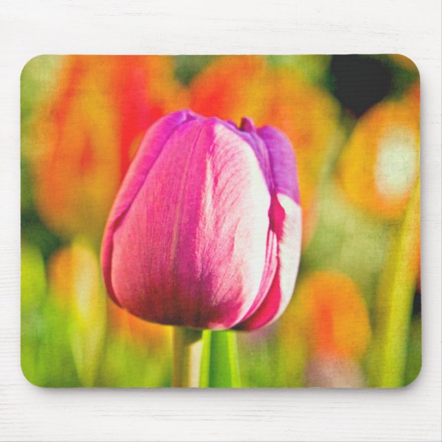 Tulip Collage Musmatta (Framsidan)
