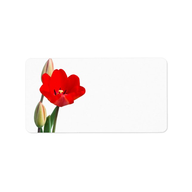 Tulip-etikett Adressetikett (Framsidan)