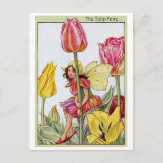 Tulip Fairy Vykort
