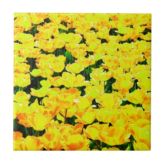Tulip fält - guldgult kakelplatta (Framsidan)