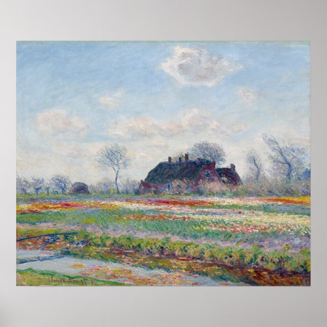Tulip Fält i Sassenheim av Claude Monet Poster (Framsidan)
