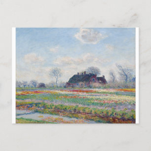 Tulip Fält i Sassenheim av Claude Monet Vykort