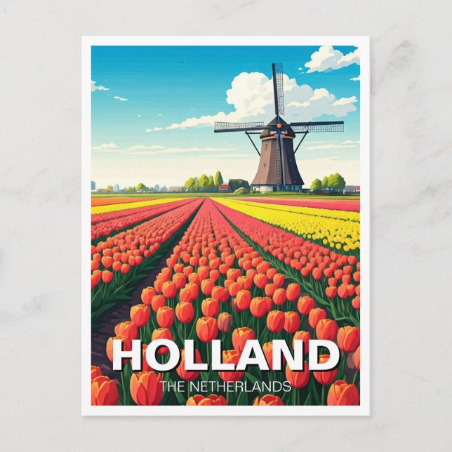 Tulip Fält Kvarn Holland Nederländerna Vykort (Framsida)