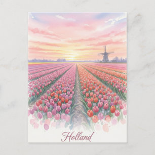 Tulip Fält Kvarn Holland Nederländerna Vykort
