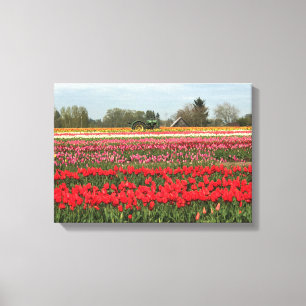 Tulip Fält med Tractor och Barn Canvastryck