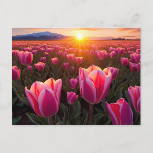 Tulip Fält vykort