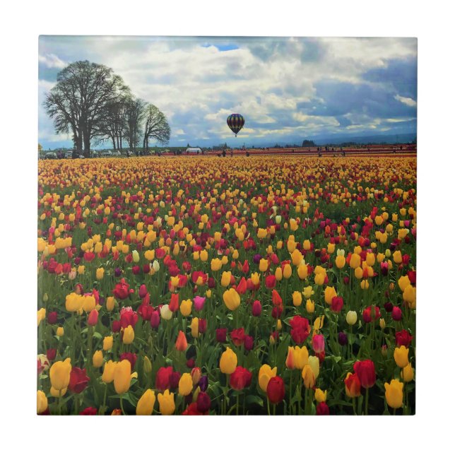 Tulip Farm i Oregon Kakelplatta (Framsidan)
