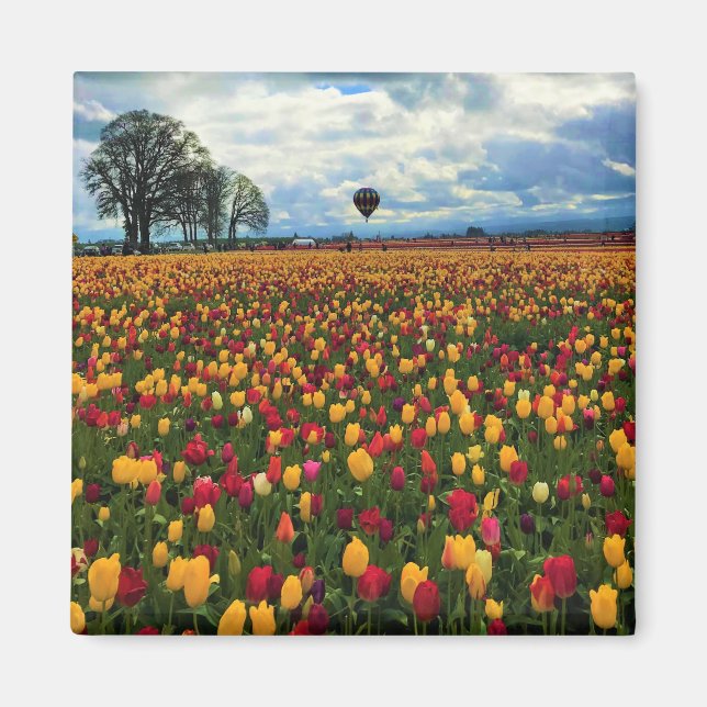 Tulip Farm i Oregon Magnet (Framsidan)