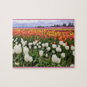 Tulip Farm Pussel