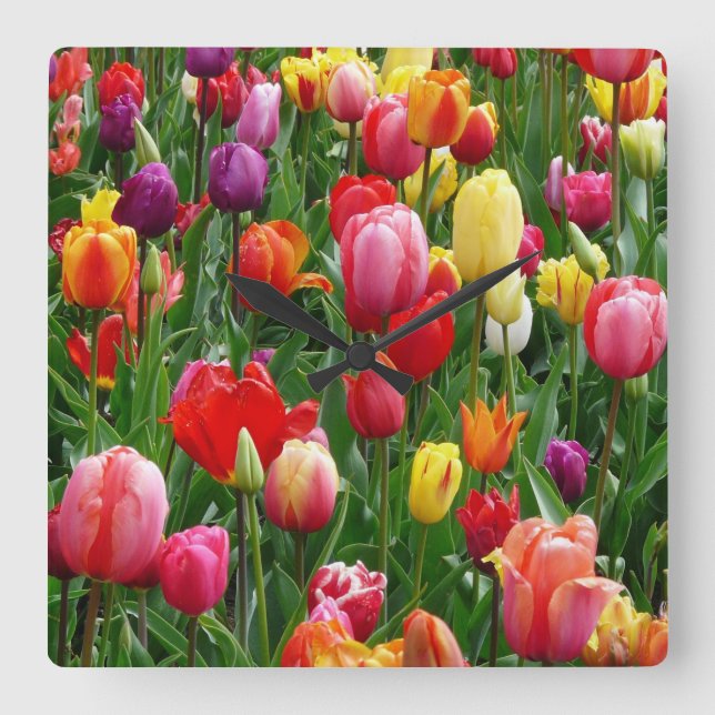 Tulip Festival Fyrkantig Klocka (Framsida)