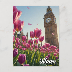 Tulip Festival i Ottawa Canada Travel Vykort
