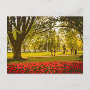 Tulip-festival i Ottawa Vykort